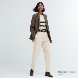 Beige Uniqlo Heattech Pleated Trousers Long | AOHBG-4735