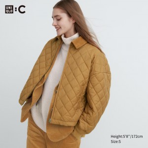 Brown Uniqlo Warm Padded Blouson | HDIKT-7405